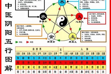 84年次屬什麼|84年属什么生肖 1984年出生什么生肖什么命